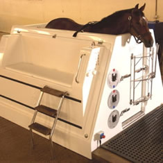Horse in Equine Spa Unit